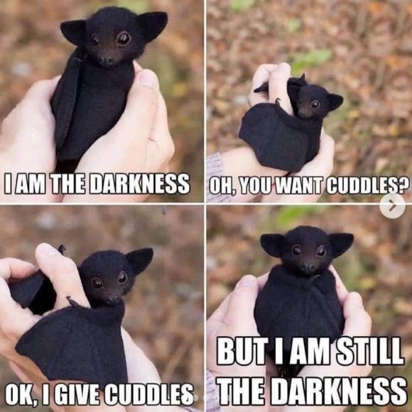 Just because 😁 - Picture 8 of 10